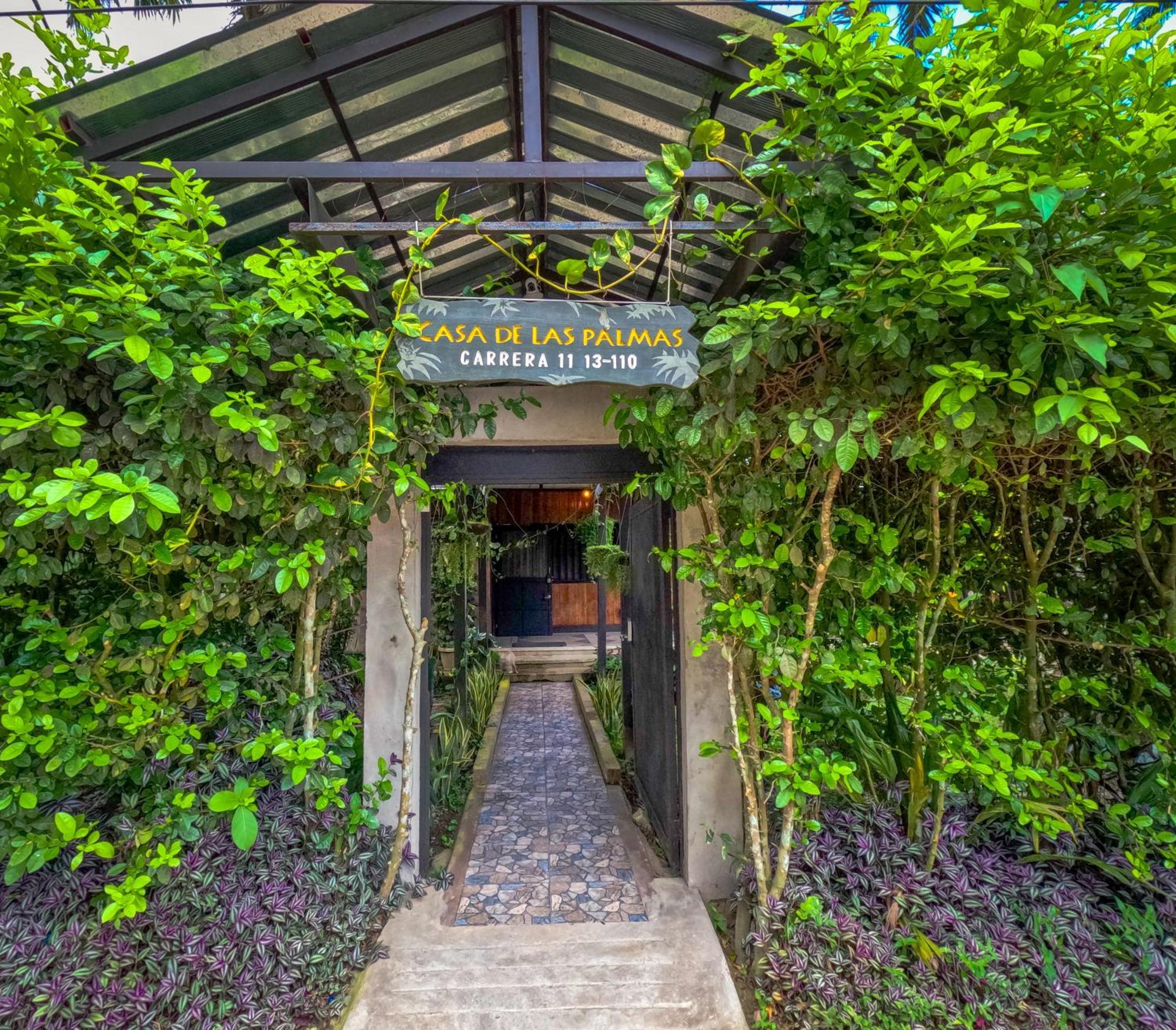 Hostel Casa De Las Palmas Tours ليتيسيا المظهر الخارجي الصورة