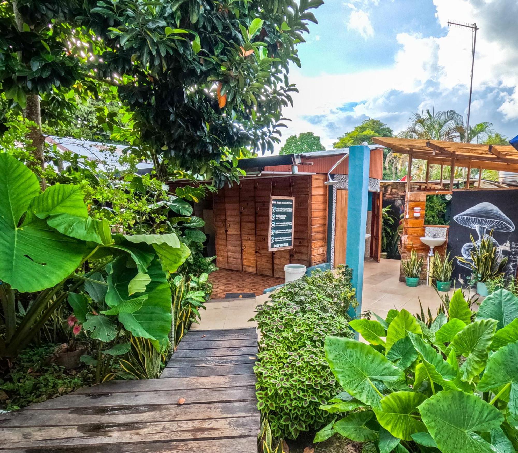 Hostel Casa De Las Palmas Tours ليتيسيا المظهر الخارجي الصورة