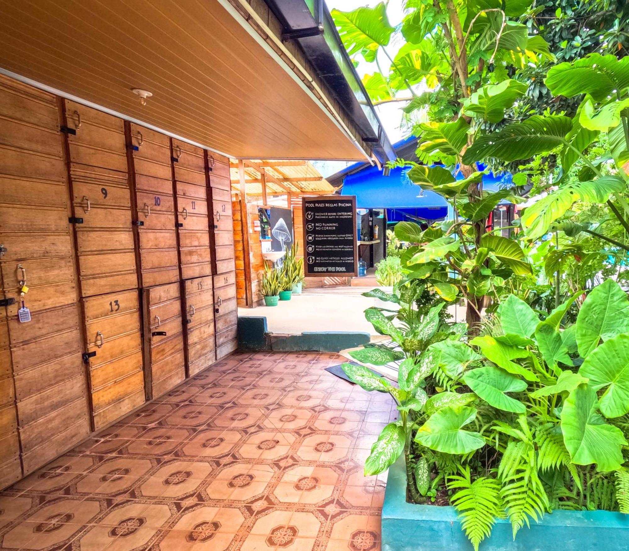 Hostel Casa De Las Palmas Tours ليتيسيا المظهر الخارجي الصورة