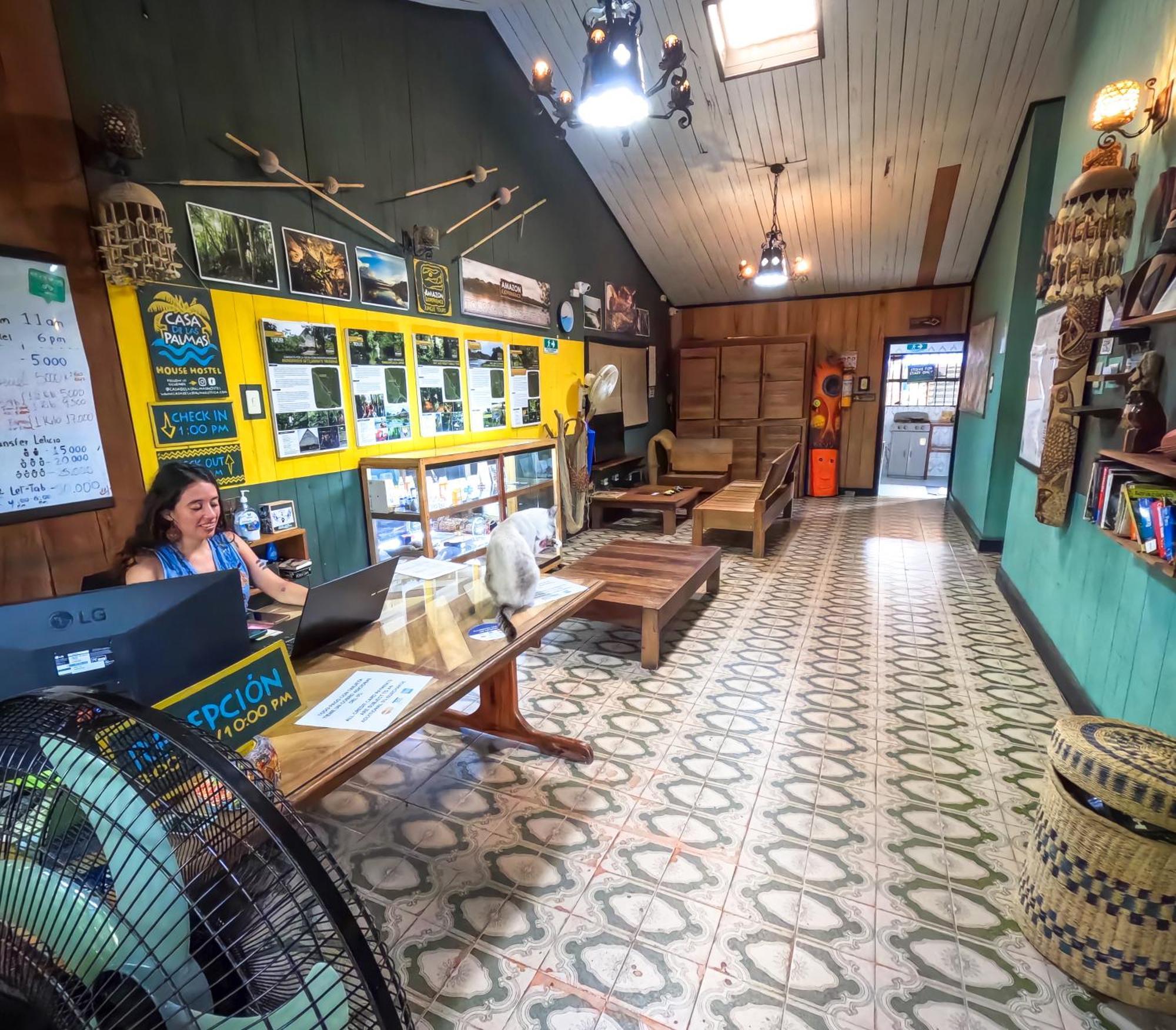 Hostel Casa De Las Palmas Tours ليتيسيا المظهر الخارجي الصورة