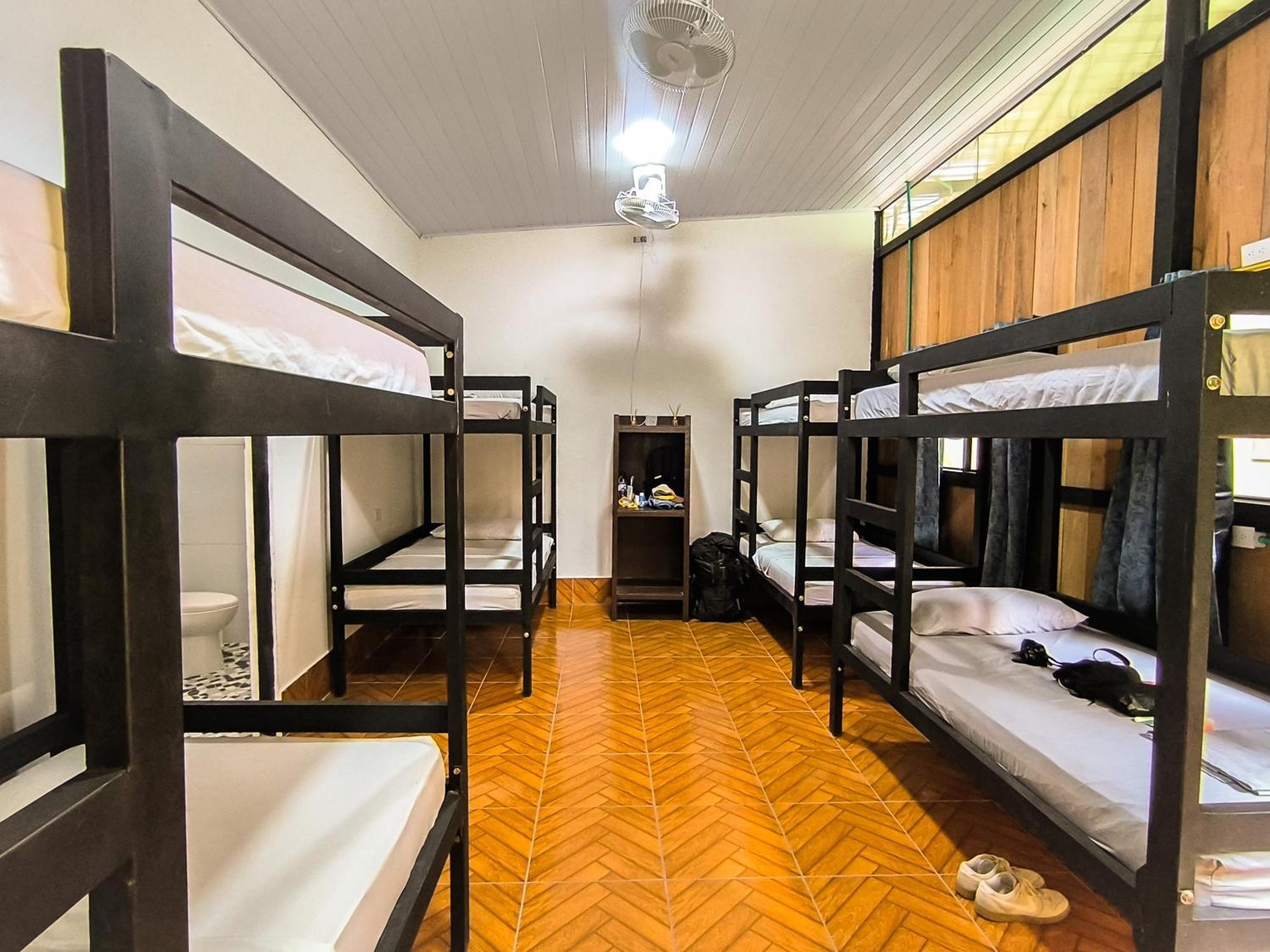 Hostel Casa De Las Palmas Tours ليتيسيا المظهر الخارجي الصورة