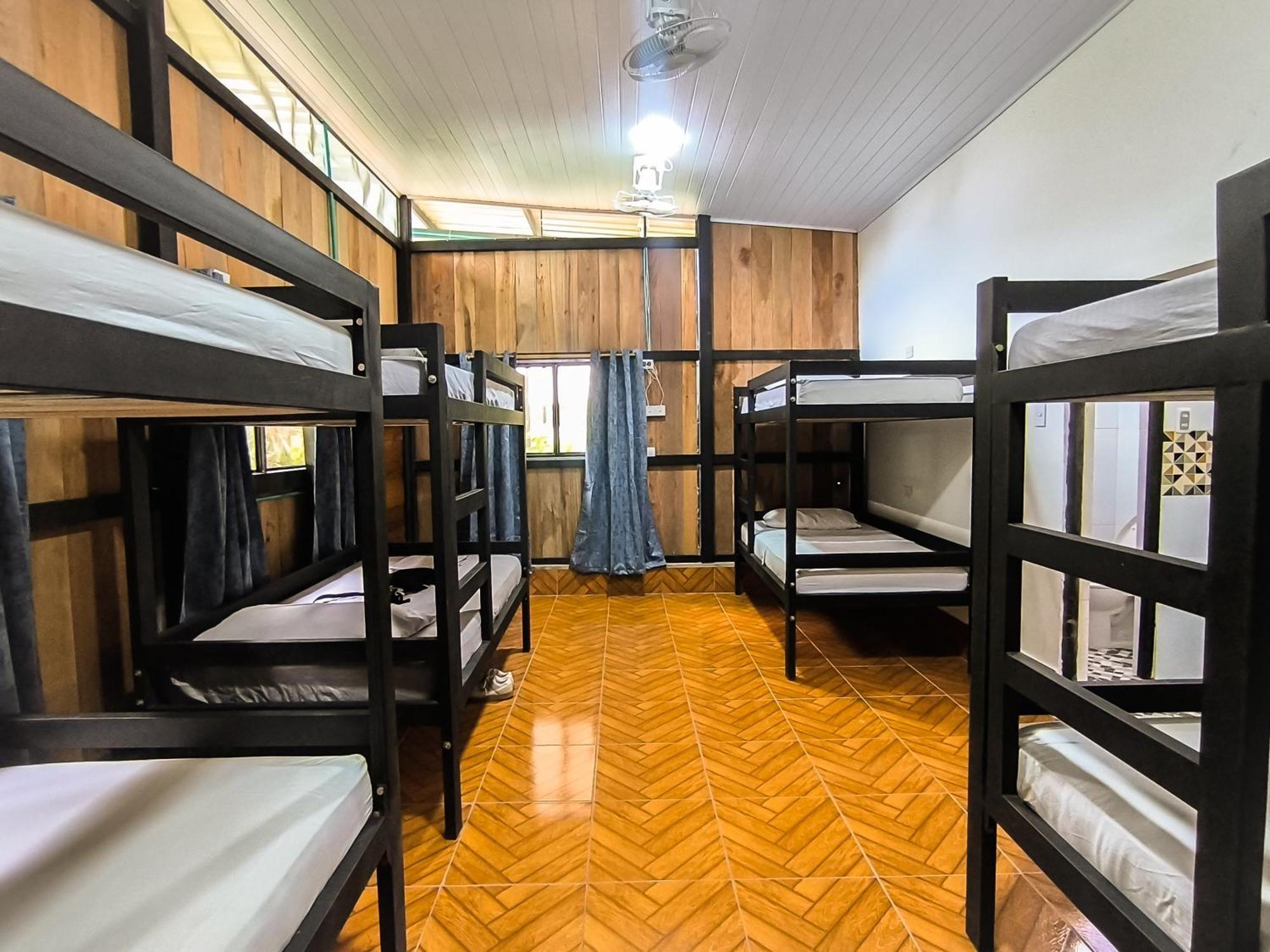 Hostel Casa De Las Palmas Tours ليتيسيا المظهر الخارجي الصورة